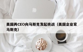 美国两CEO向马斯克发起挑战（美国企业家马斯克）