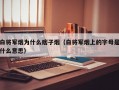 白将军烟为什么痞子烟（白将军烟上的字母是什么意思）