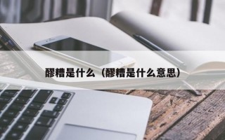 醪糟是什么（醪糟是什么意思）