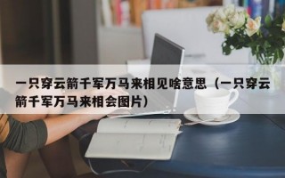 一只穿云箭千军万马来相见啥意思（一只穿云箭千军万马来相会图片）