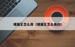 堵漏王怎么用（堵漏王怎么用的）