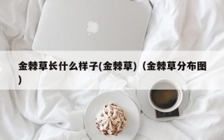 金棘草长什么样子(金棘草)（金棘草分布图）