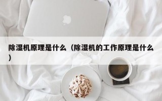 除湿机原理是什么（除湿机的工作原理是什么）