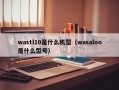 wastl10是什么机型（wasaloo是什么型号）