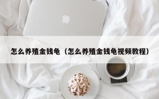 怎么养殖金钱龟（怎么养殖金钱龟视频教程）