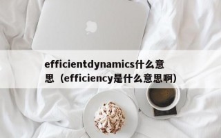 efficientdynamics什么意思（efficiency是什么意思啊）