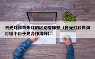 日光灯和白炽灯的区别有哪些（日光灯和白炽灯哪个用于光合作用好）