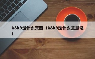 k8k9是什么东西（k8k9是什么意思话）