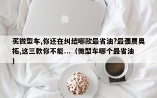 买微型车,你还在纠结哪款最省油?最强属奥拓,这三款你不能...（微型车哪个最省油）