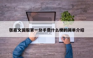 张嘉文国服第一分手费什么梗的简单介绍