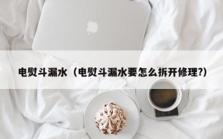 电熨斗漏水（电熨斗漏水要怎么拆开修理?）