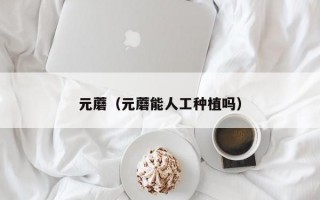 元蘑（元蘑能人工种植吗）