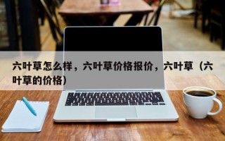 六叶草怎么样，六叶草价格报价，六叶草（六叶草的价格）