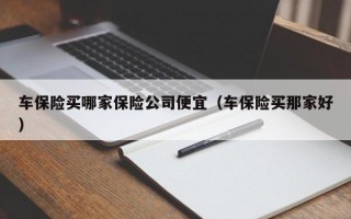 车保险买哪家保险公司便宜（车保险买那家好）