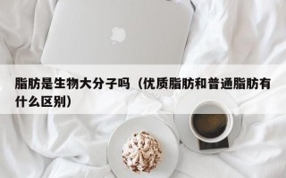 脂肪是生物大分子吗（优质脂肪和普通脂肪有什么区别）