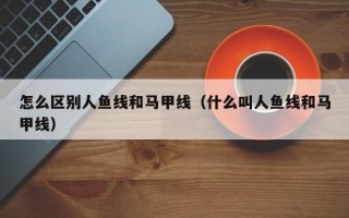 怎么区别人鱼线和马甲线（什么叫人鱼线和马甲线）