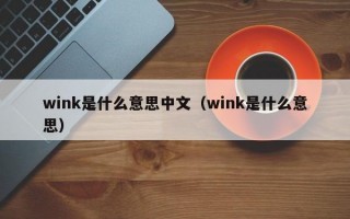 wink是什么意思中文（wink是什么意思）