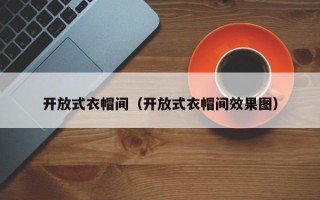 开放式衣帽间（开放式衣帽间效果图）