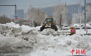 降雪,降雪：自然现象与环境影响