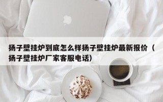 扬子壁挂炉到底怎么样扬子壁挂炉最新报价（扬子壁挂炉厂家客服电话）