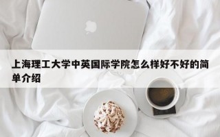 上海理工大学中英国际学院怎么样好不好的简单介绍