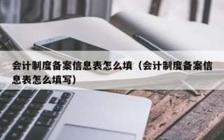 会计制度备案信息表怎么填（会计制度备案信息表怎么填写）