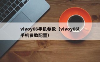 vivoy66手机参数（vivoy66l手机参数配置）