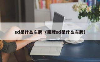 sd是什么车牌（黑牌sd是什么车牌）