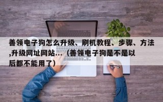 善领电子狗怎么升级、刷机教程、步骤、方法,升级网址网站...（善领电子狗是不是以后都不能用了）