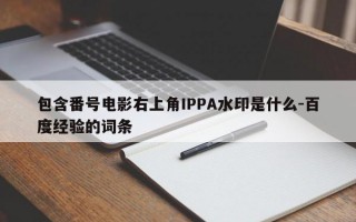 包含番号电影右上角IPPA水印是什么-百度经验的词条