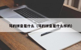 笃的拼音是什么（笃的拼音是什么样的）