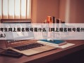 考生网上报名账号是什么（网上报名帐号是什么）