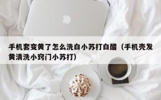 手机套变黄了怎么洗白小苏打白醋（手机壳发黄清洗小窍门小苏打）