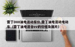 雷丁D80油电混动报价,雷丁油电混动电动车（雷丁油电混合ev的价格及图片）