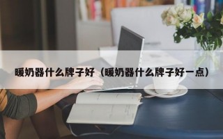 暖奶器什么牌子好（暖奶器什么牌子好一点）