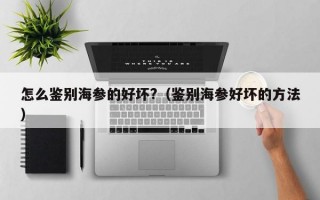 怎么鉴别海参的好坏?（鉴别海参好坏的方法）