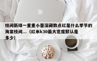 枝间新绿一重重小蕾深藏数点红是什么季节的海棠枝间...（红米k30最大宽度默认是多少）