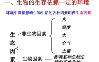 生物与环境之间的关系是相互,生物与环境的关系是（　　）A．相互影响，毫无作用B．相互影响，毫无影响C．毫无关系D．相互影响，相互作