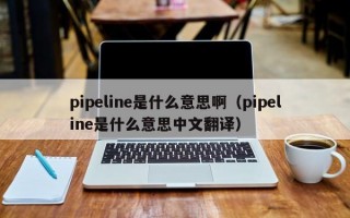 pipeline是什么意思啊（pipeline是什么意思中文翻译）