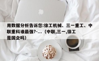 用数据分析告诉您:徐工机械、三一重工、中联重科谁最强?-...（中联,三一,徐工是国企吗）