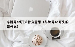 车牌号sd开头什么意思（车牌号sd开头的是什么）