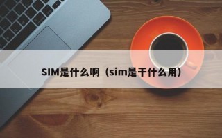 SIM是什么啊（sim是干什么用）