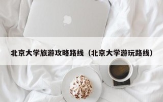 北京大学旅游攻略路线（北京大学游玩路线）