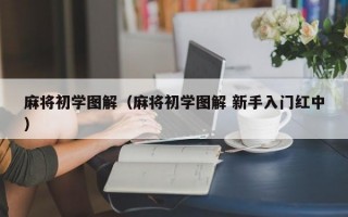 麻将初学图解（麻将初学图解 新手入门红中）