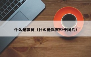 什么是飘窗（什么是飘窗柜子图片）