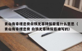 青山有幸埋忠骨白铁无辜铸佞臣是什么意思（青山有幸埋忠骨 白铁无辜铸佞臣谁写的）