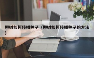 柳树如何传播种子（柳树如何传播种子的方法）