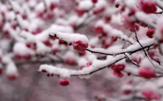 下雪说说心情短语精选,下雪天的说说心情短语 下雪天你想一起走到白头我却怕你着凉