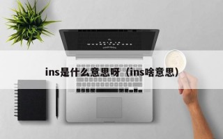 ins是什么意思呀（ins啥意思）