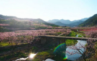 义乌桃花坞,浙江一区桃花坞开区时间